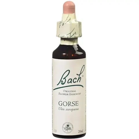 Flores de Bach Originales AULAGA 13 20ml – imagen 1