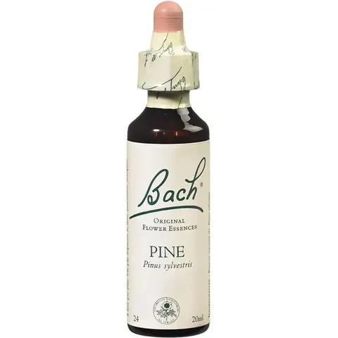 Flores de Bach Originales PINO 24 20ml – imagen 1
