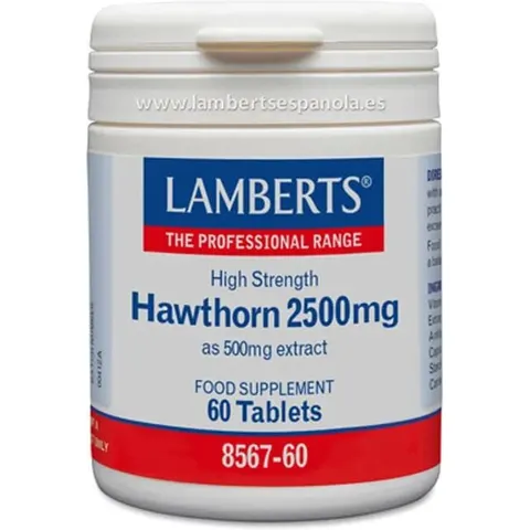 Lamberts ESPINO BLANCO 2500mg 60 Tabs – imagen 1