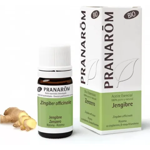 Pranarom Jengibre Rizoma Bio – imagen 1