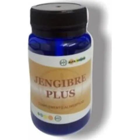 Alfa Herbal Ingwer Plus 60 Kapseln – Bild 1