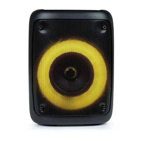 EnceinteBIGBEN PARTY bt aux in usb micro sd - taille s – image 1