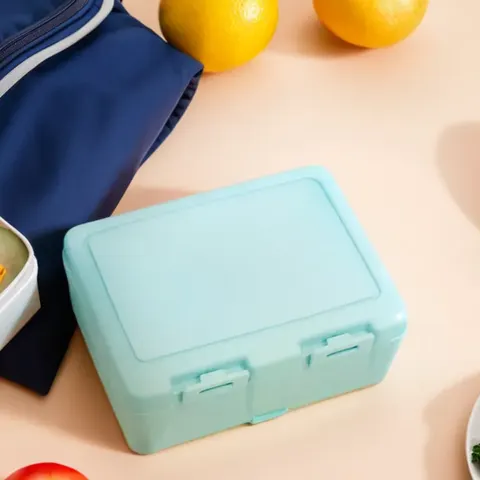 Mint Green 2 Section Lunch Box | Grub Tub – image 1