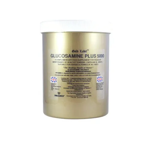 Gold Label Glucosamine Plus 5000 – image 1