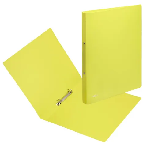 PAGNA Ringbuch 2-Ringe DIN A4 2.3 cm lindgrün – Bild 1
