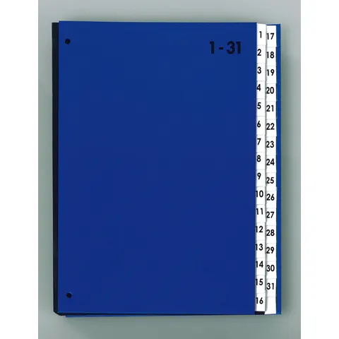 PAGNA Pultordner DIN A4 32 Taben blau – Bild 1