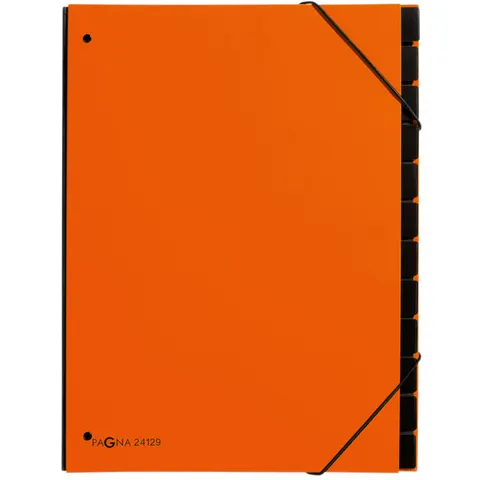 Sorteermap Pagna Trend A4 12 tabs oranje – afbeelding 1