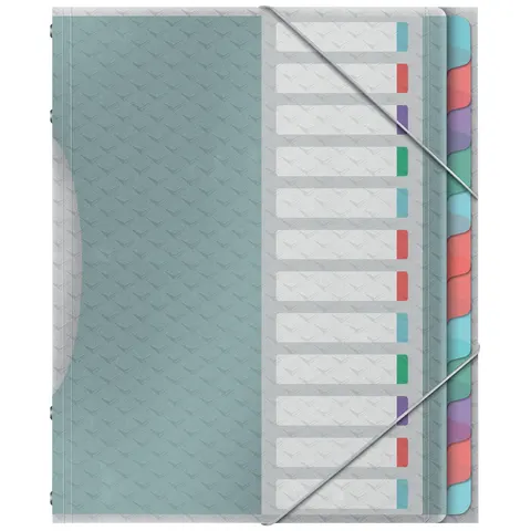 Esselte Colour'Breeze sorteermap, PP, ft A4, 12 tabs, assorti – afbeelding 1