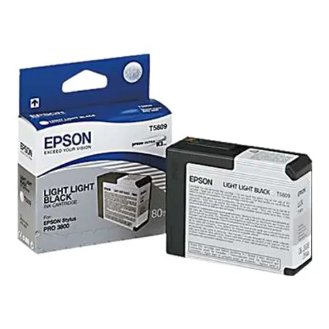 EPSON 5LB T5809 ink cartridge light – Bild 1