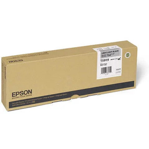 Epson Singlepack Light Black T591900 – image 1