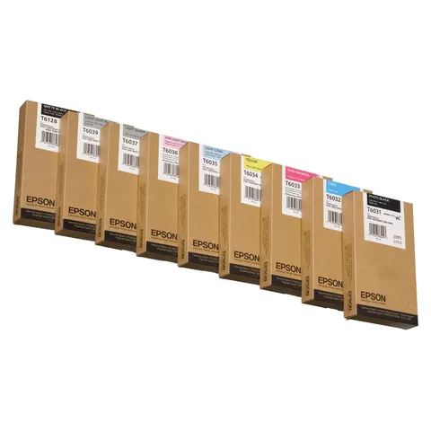 Epson Singlepack Photo Black T603100 220 ml – image 1