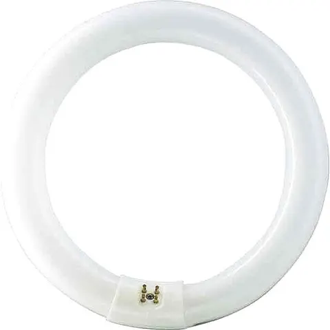 Philips MASTER TL-E Circular Super 80 40W - 840 - 4000K Koel wit - 40cm – afbeelding 1