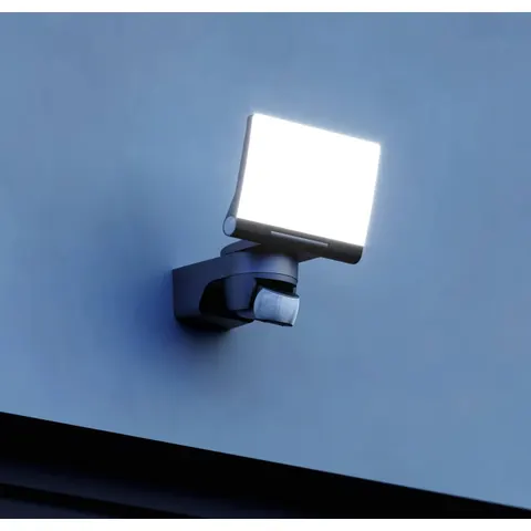 STEINEL 065447 - Smart light, outdoor floodlight, XLED, Bluetooth®, black – image 1