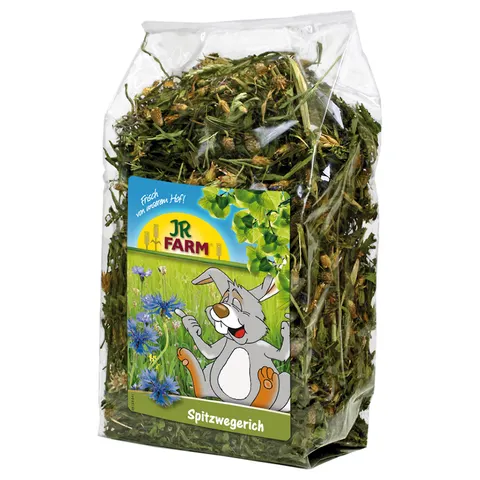 JR Farm Spitzwegerich 500 g – Bild 1