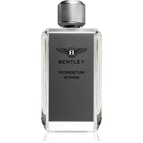 Bentley Momentum Intense EDP M 100 ml – image 1