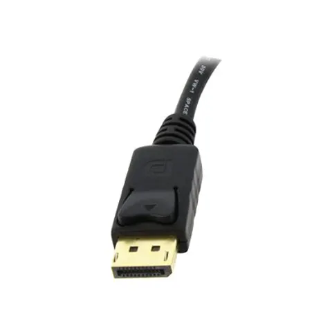 DisplayPort naar DVI Video Adapter Converter – afbeelding 1