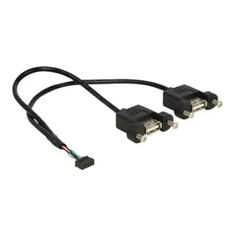 DELOCK USB Kabel Pinheader 10Pin -> 2x A Bu/Bu 0.25m – Bild 1