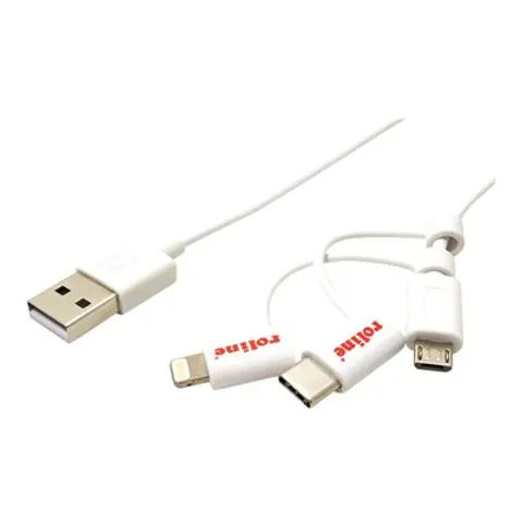 ROLINE USB 2.0 Sync- & Ladekabel TypA 1m – Bild 1