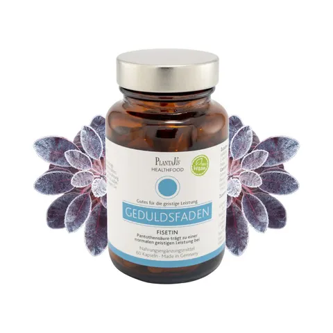 PlantaVis Fisetin Kapseln – Bild 1