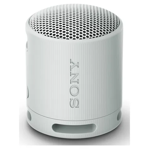 Sony SRS-XB100 Portable Speaker - Grey – image 1