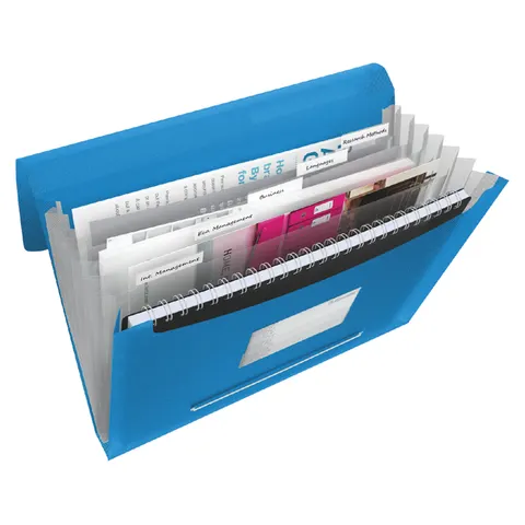 Projectmap Esselte Vivida A4 6 vakken PP blauw – afbeelding 1