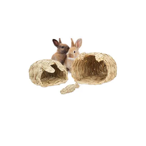Knaagdier speelgoed - 3-delige set – afbeelding 1