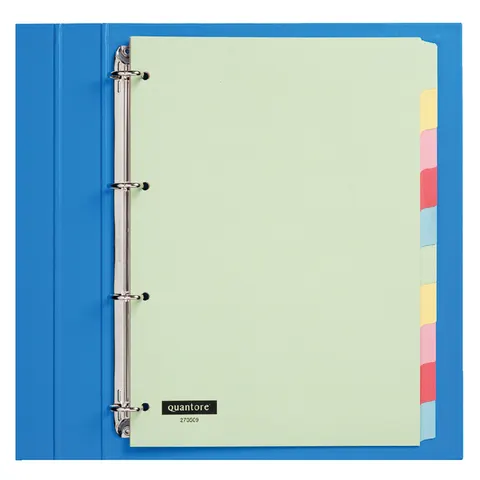 Tabbladen Quantore 4-gaats 10-delig assorti karton – afbeelding 1