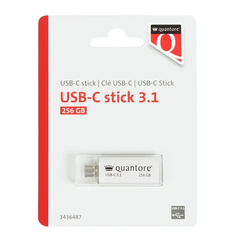 Usb stick 3.1 quantore usb-c 256gb zilver – afbeelding 1