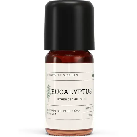 Natural Heroes Eucalyptus EO - Eucalyptus globulus - 5 ml – afbeelding 1