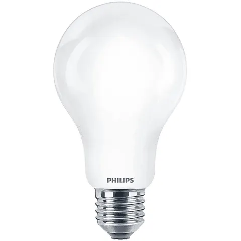Philips LED Lamp Mat - 150 W - E27 - koelwit licht – afbeelding 1