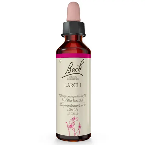 Bachblüten Larch Tropfen – Bild 1