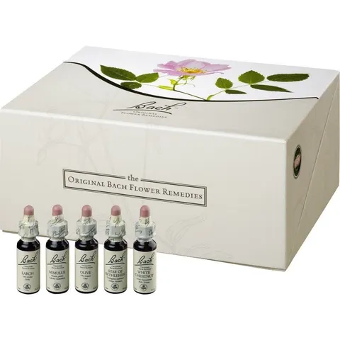 Bachblüten 10 ml Set Tropfen – Bild 1