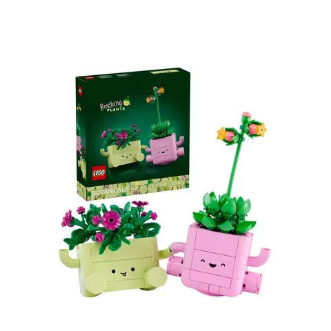 LEGO Botanicals Rocking Plants 11506 – image 1