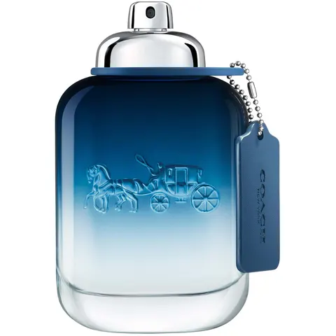 Coach Blue Eau de Toilette per uomo 100 ml – immagine 1