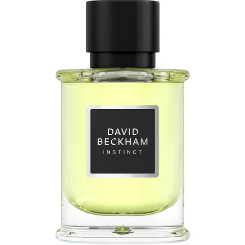 David Beckham Instinct EDP M 50 ml – image 1
