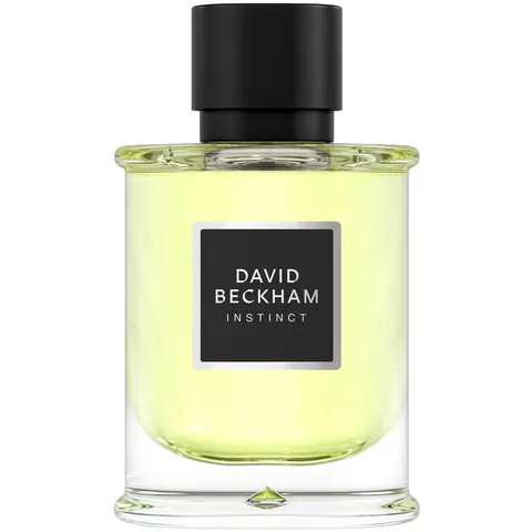 David Beckham Instinct Eau de Parfum (Homme) 75 ml – image 1