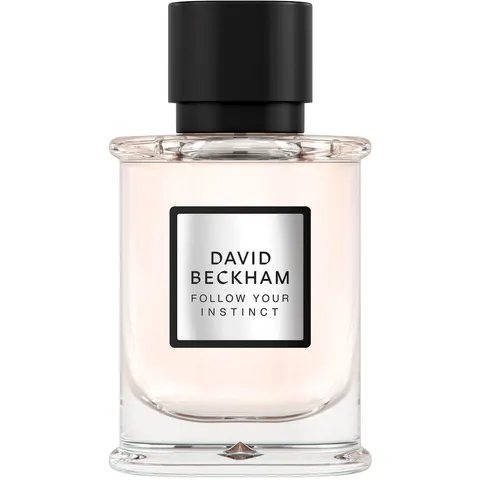 David Beckham Follow Your Instinct Eau de Parfum 50 ML – afbeelding 1
