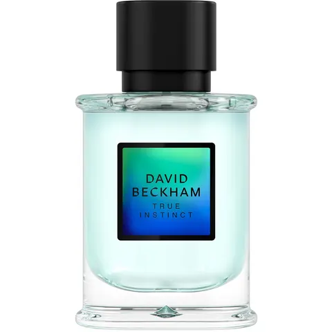 David Beckham True Instinct EDP M 50 ml – image 1