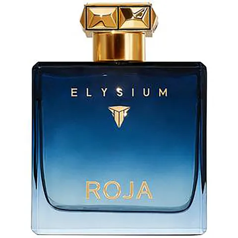 ROJA Elysium Pour Homme Eau de Parfum 100 ml – zdjęcie 1
