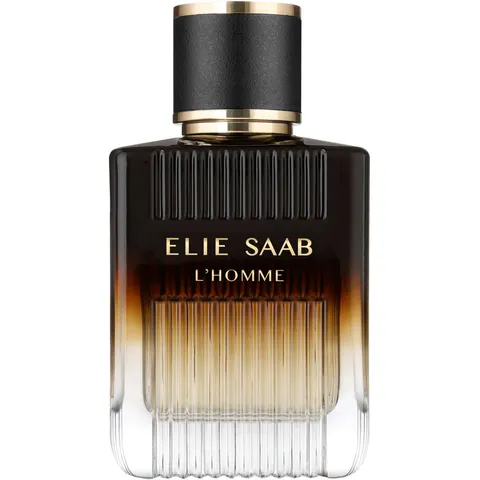 ELIE SAAB L'Homme Intense 100 ml – imagen 1