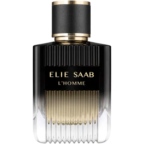ELIE SAAB L'Homme 100 ml – imagen 1