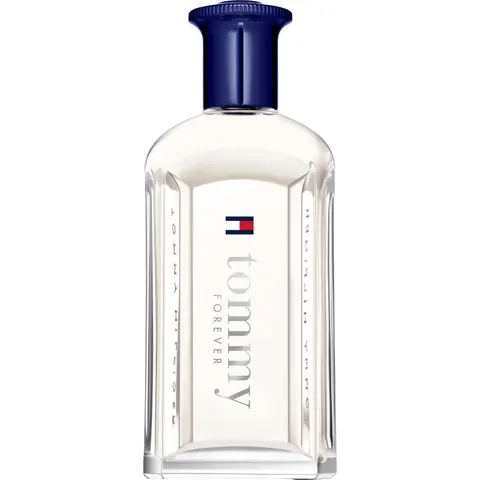 Tommy Hilfiger - Tommy - Eau De Toilette - 100ml – image 1