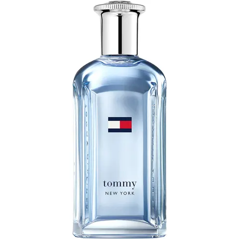 Tommy Hilfiger NEW YORK EDT M 100 ml – image 1