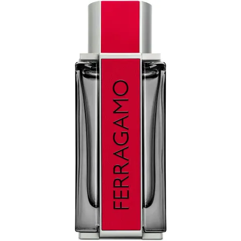 Ferragamo Red Leather EDP M 100 ml – image 1
