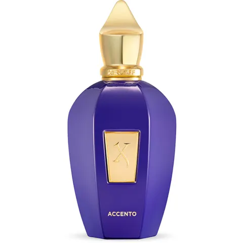 100ml XERJOFF Vibe ACCENTO Eau de Parfum – Bild 1