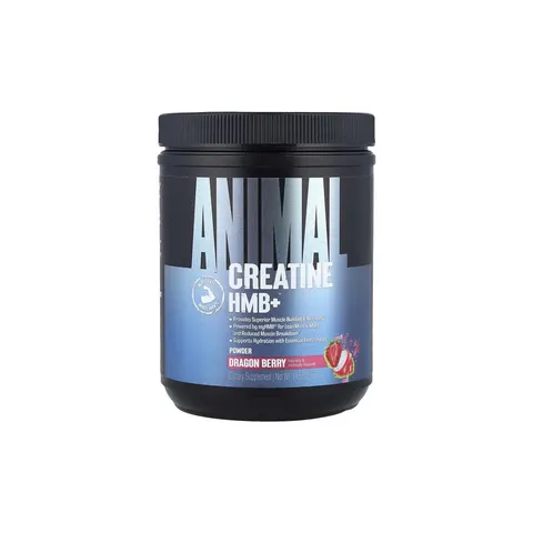 Creatine HMB+ Powder, Dragon Berry – image 1