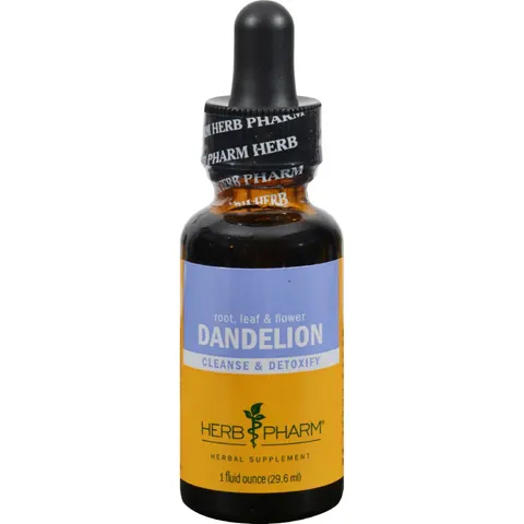 Dandelion – image 1
