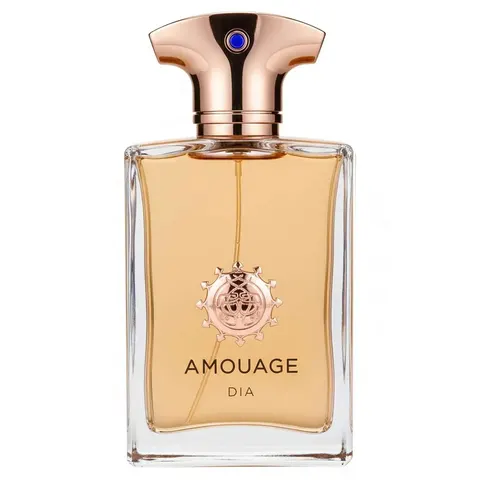Amouage Dia Man - 100 ml - Eau De Parfum – afbeelding 1