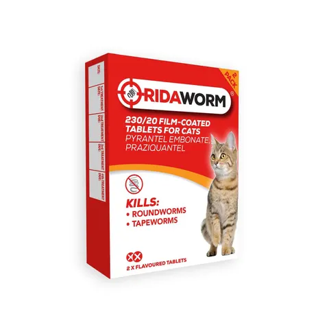 Chanelle Ridaworm Cat Tablets - 2 Tablets – image 1