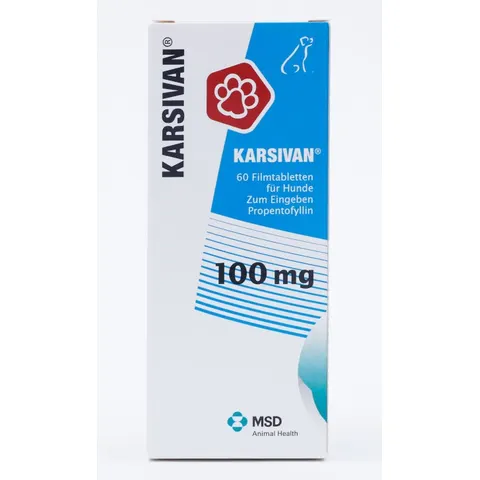 KARSIVAN 100mg 60 St Filmtabletten – Bild 1